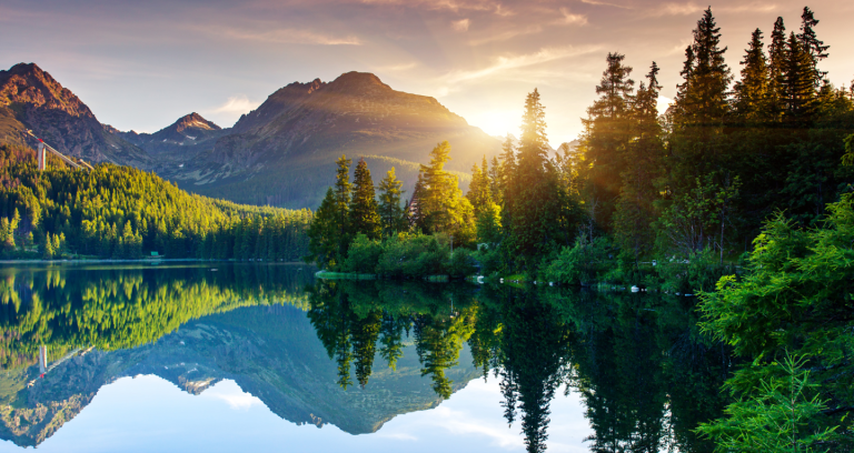 Promise of Eternal Life/Pathos & Glory: Part 2