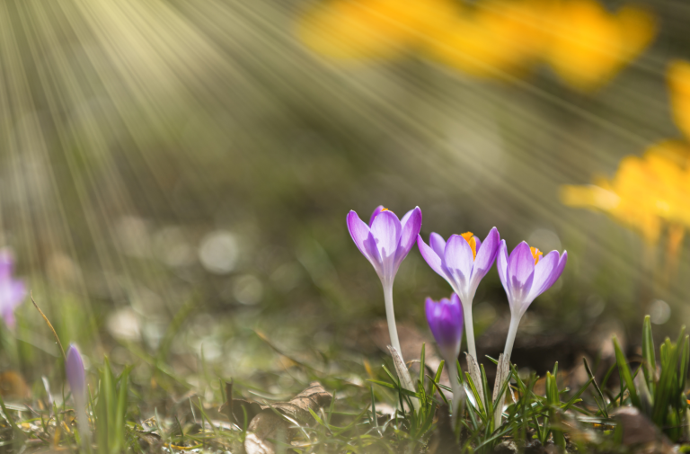 The Current of God’s Love: Part 1                      (Luke 24:13-27, Romans 8:38-39, Psalm 34:18)