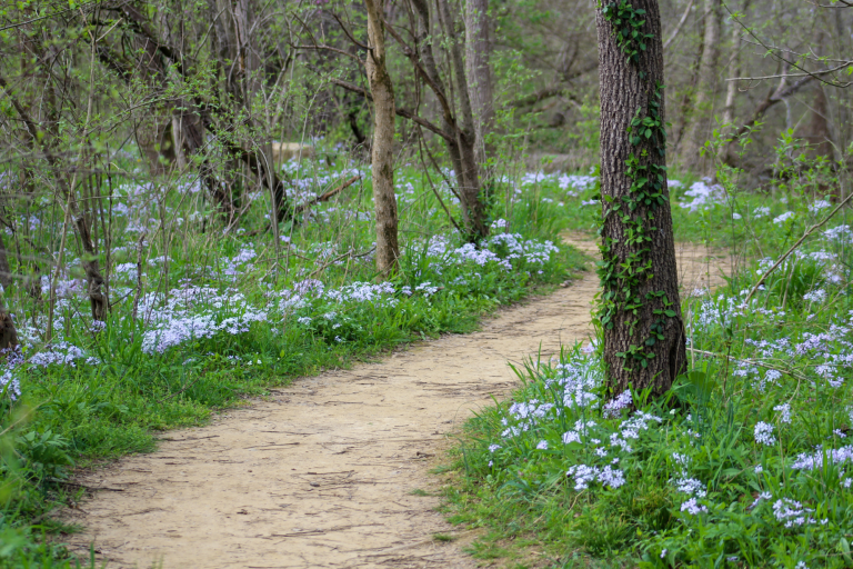 Resolute Living: Part 2